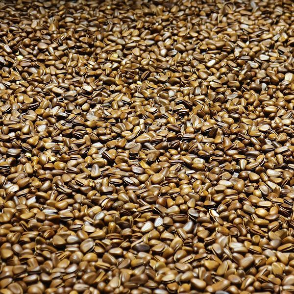 Flax seeds