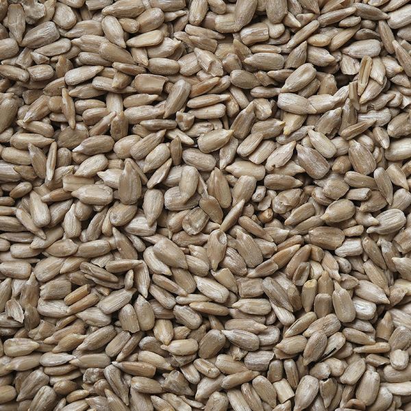 Sunflower seeds
